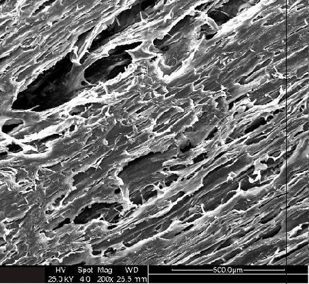 Orbi-Tech Specials Lay-Fomm 40 2.85mm 250g